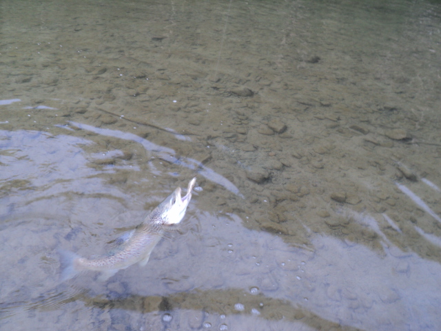 Name:  picture 3017.jpg
Views: 182
Size:  165.1 KB