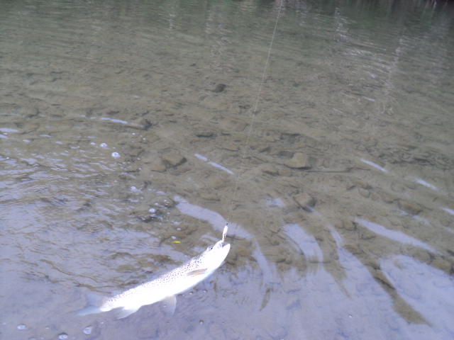 Name:  picture 3018.jpg
Views: 161
Size:  163.8 KB
