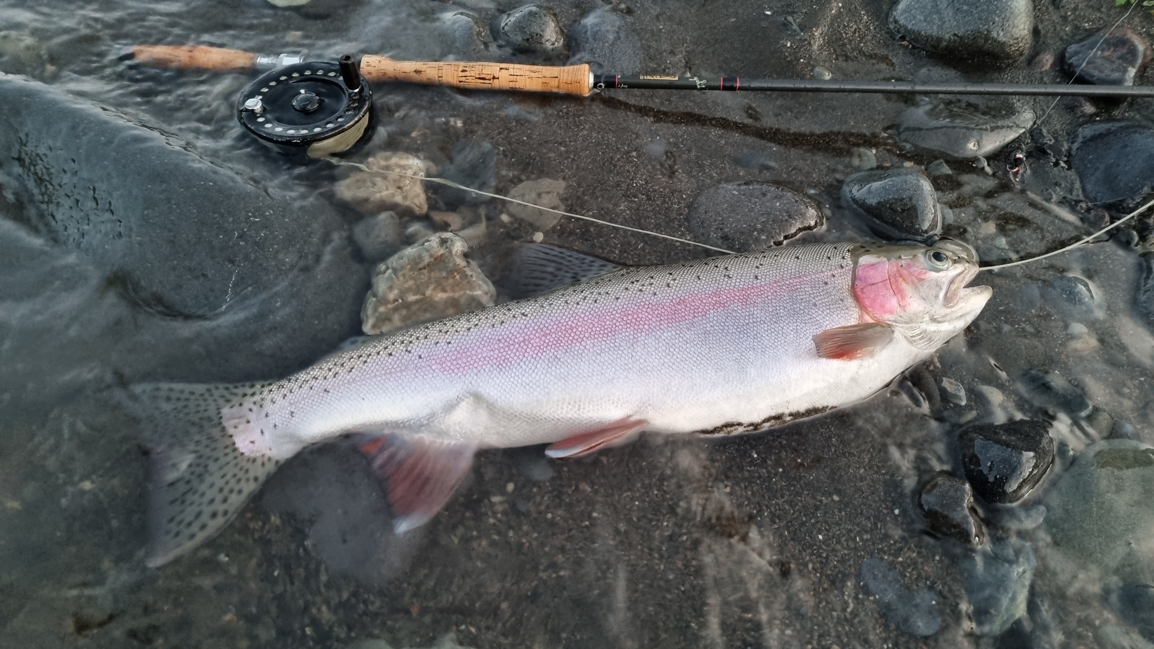 Name:  rainbow tongariro.jpg
Views: 254
Size:  2.81 MB