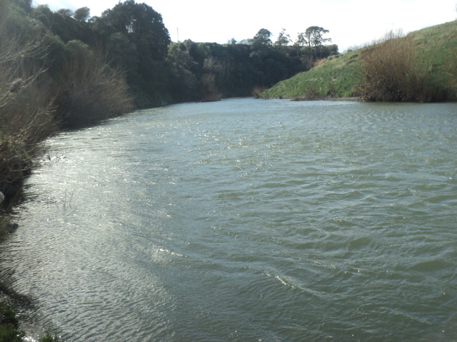 Name:  picture 01 5757.jpg
Views: 197
Size:  165.3 KB