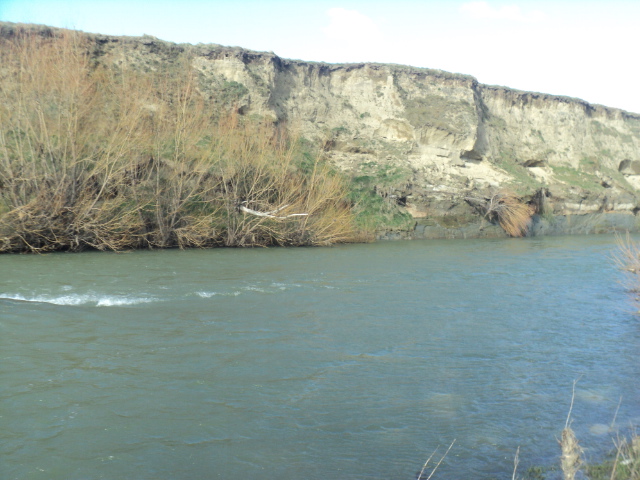 Name:  picture 01 5758.jpg
Views: 194
Size:  164.5 KB