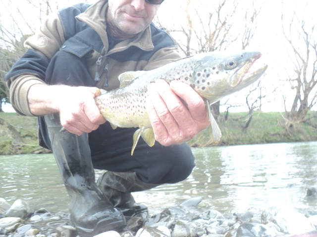 Name:  picture 01 5773.jpg
Views: 266
Size:  164.0 KB