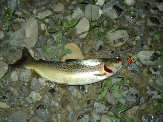 Name:  picture 3098.jpg
Views: 266
Size:  164.9 KB