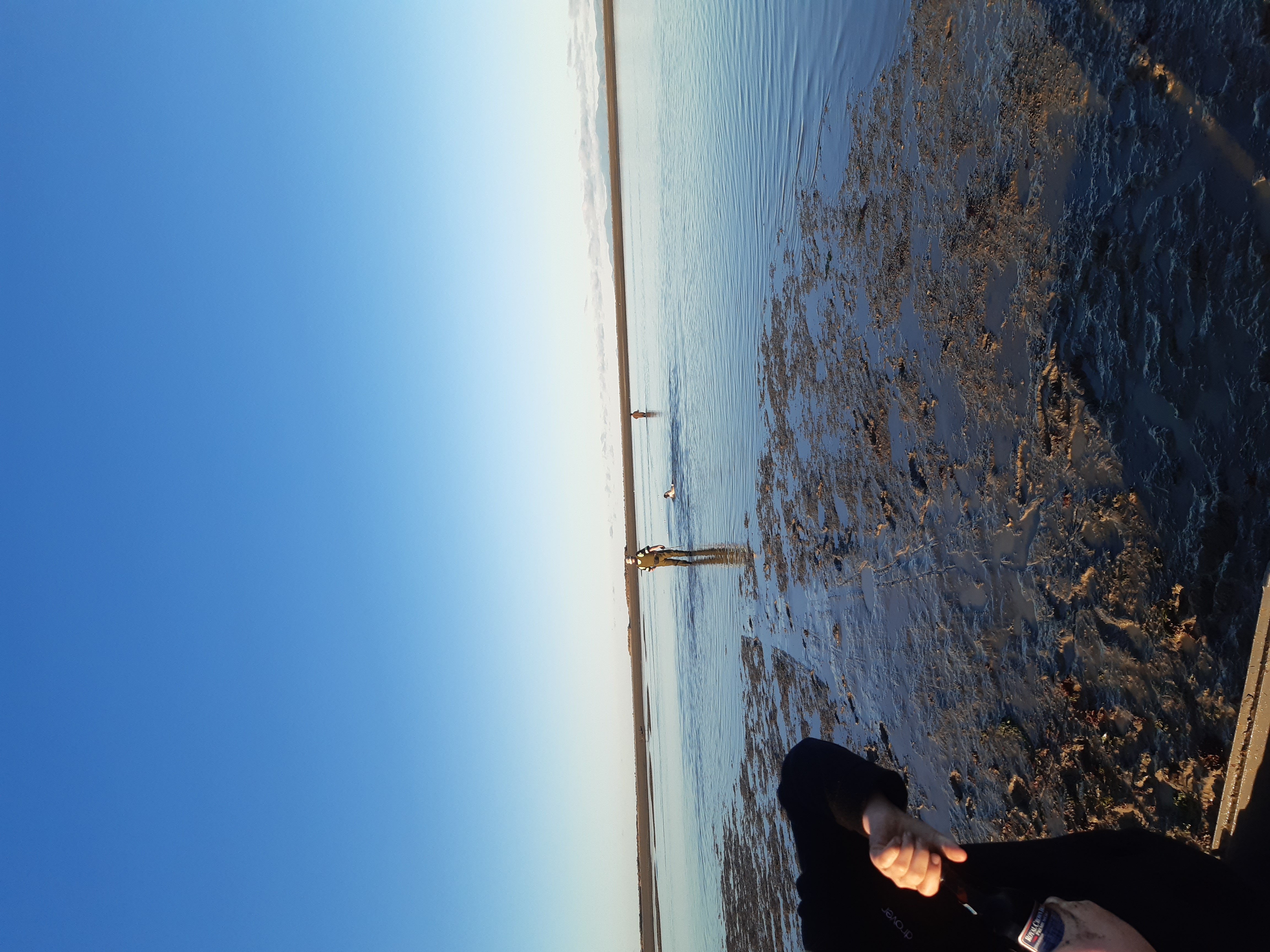 Name:  20220813_165508.jpg
Views: 395
Size:  3.90 MB