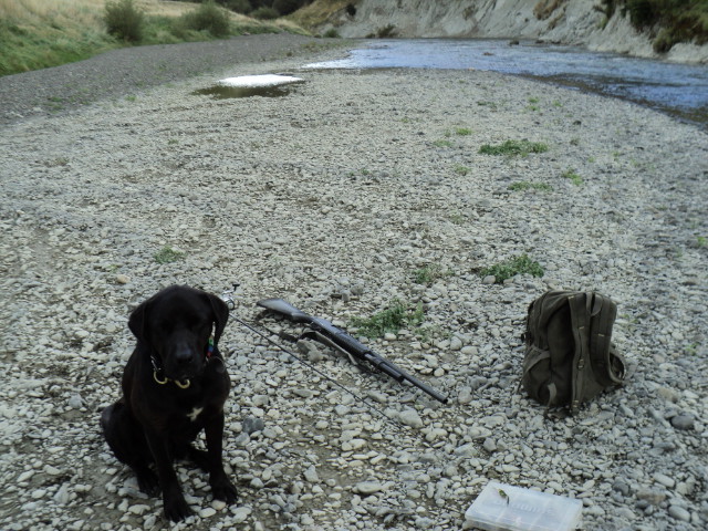Name:  picture 3113.jpg
Views: 157
Size:  164.7 KB