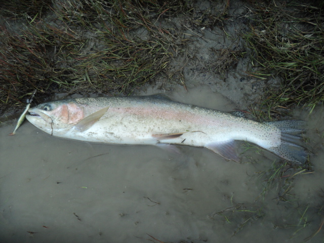 Name:  picture 01 5851.jpg
Views: 184
Size:  164.9 KB