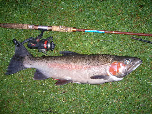 Name:  P1010631.JPG
Views: 247
Size:  79.7 KB