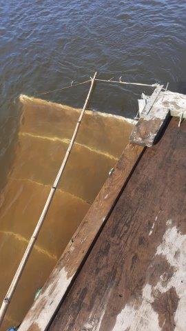 Name:  whitebait net.jpg
Views: 158
Size:  26.0 KB