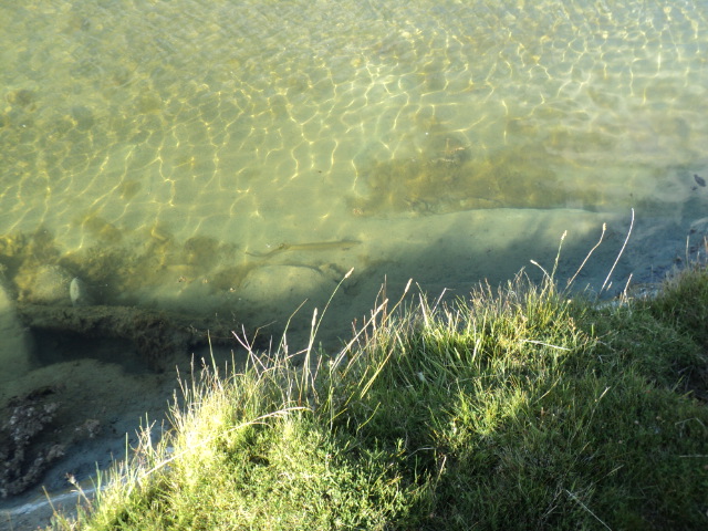Name:  picture 3196.jpg
Views: 155
Size:  164.7 KB