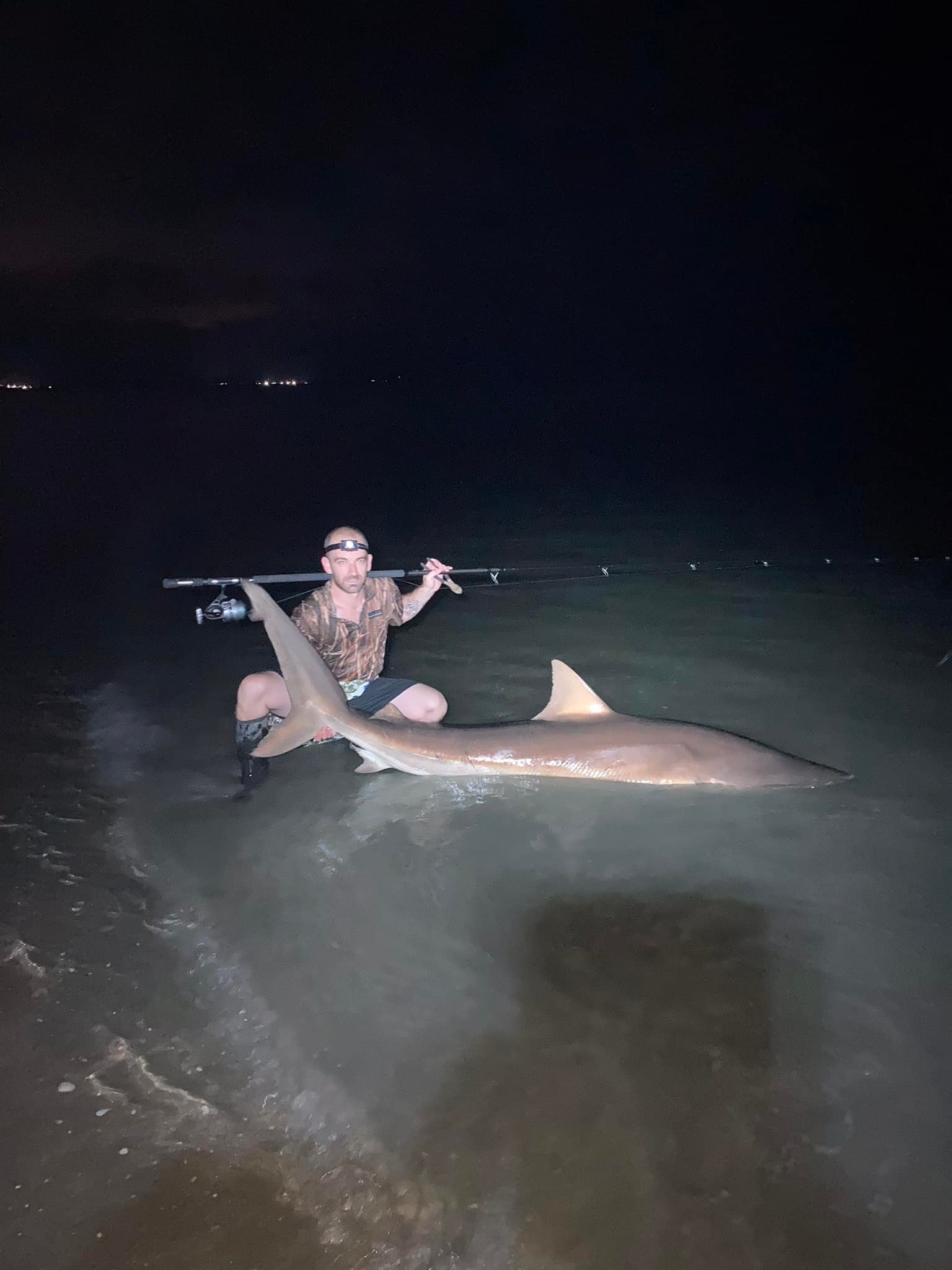 Name:  shark11.jpg
Views: 401
Size:  160.3 KB