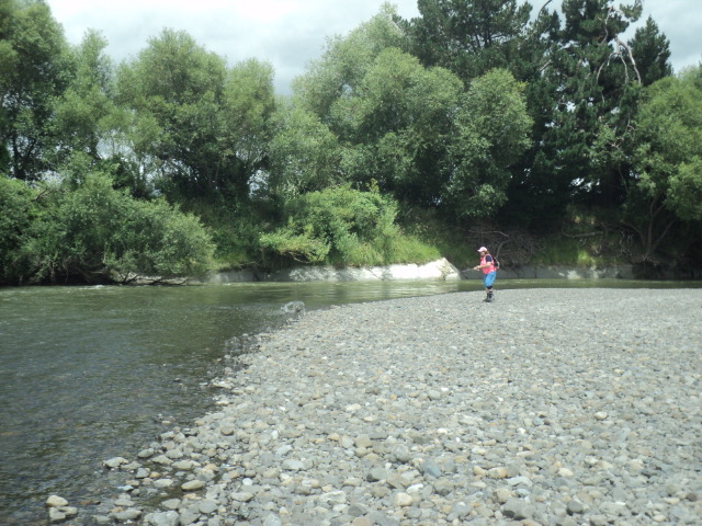 Name:  DSC05876.JPG
Views: 166
Size:  163.4 KB