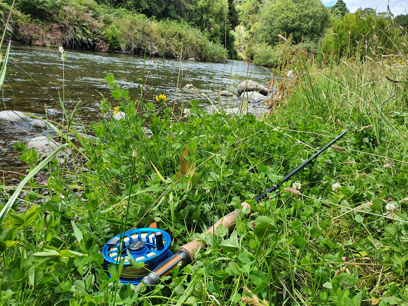 Name:  fly rod.jpg
Views: 248
Size:  749.3 KB
