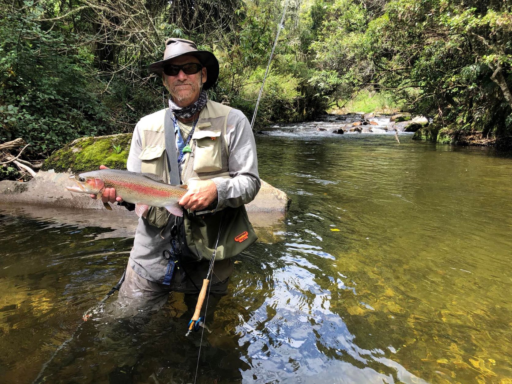 Name:  dry fly smash.jpeg
Views: 122
Size:  576.0 KB