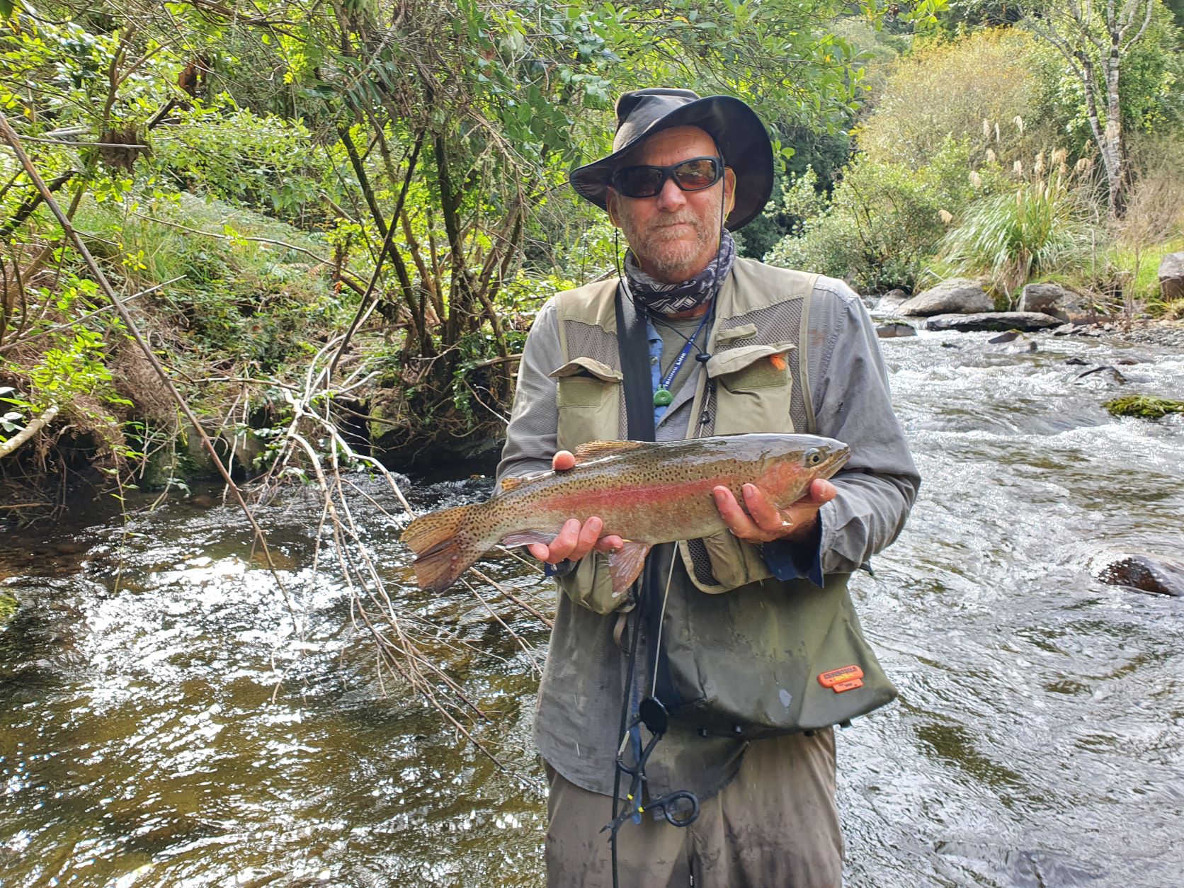 Name:  trout on.jpg
Views: 113
Size:  642.3 KB