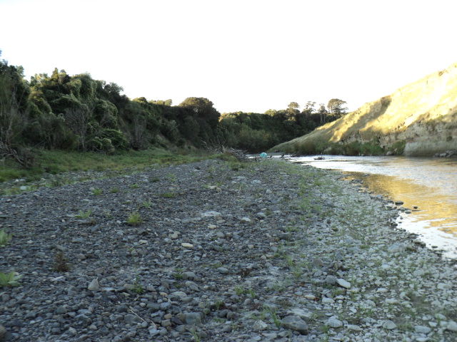 Name:  picture 3317.jpg
Views: 408
Size:  164.6 KB