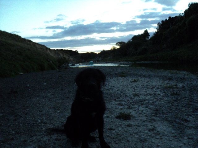 Name:  picture 3321.jpg
Views: 510
Size:  165.1 KB