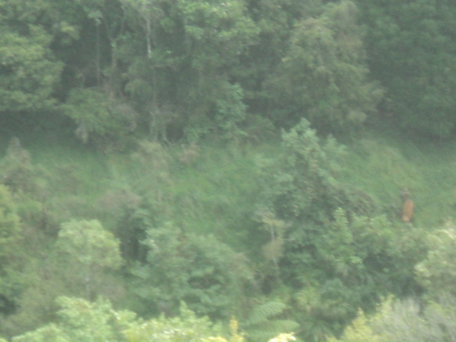 Name:  DSC06505.JPG
Views: 298
Size:  164.8 KB