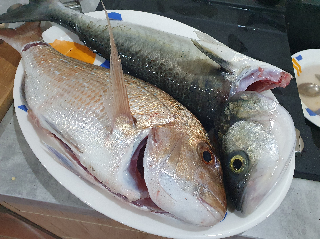 Name:  Saturday fish.jpg
Views: 638
Size:  1.24 MB