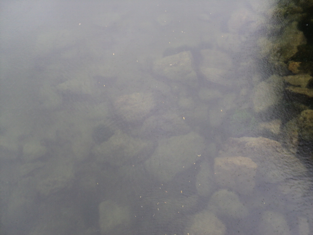 Name:  picture 3397.jpg
Views: 278
Size:  164.4 KB