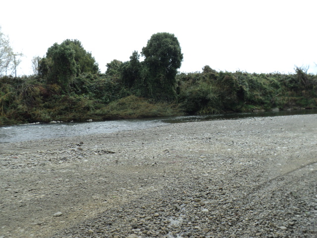 Name:  picture 3403.jpg
Views: 264
Size:  165.1 KB