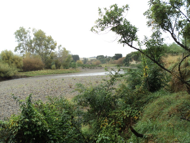 Name:  picture 3406.jpg
Views: 281
Size:  163.3 KB