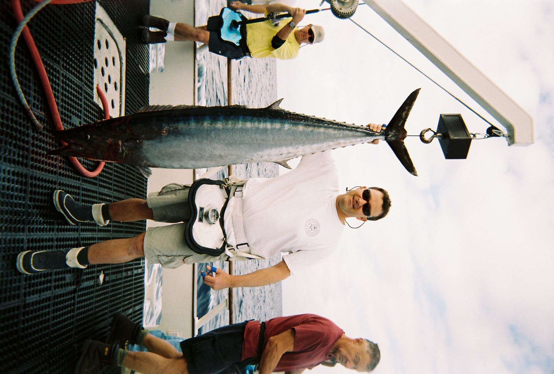 Name:  706500-R1-25-25A.jpg
Views: 276
Size:  856.9 KB