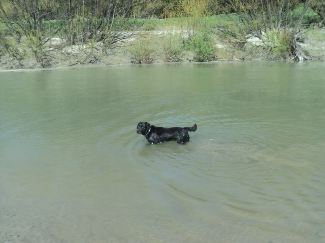 Name:  DSC07299.JPG
Views: 436
Size:  163.4 KB