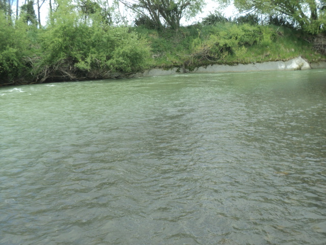 Name:  DSC07378.JPG
Views: 186
Size:  163.8 KB