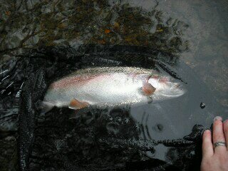 Name:  uploadfromtaptalk1399237953168.jpg
Views: 231
Size:  22.1 KB