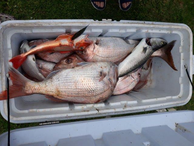Name:  fishing trip 2024.jpg
Views: 222
Size:  58.7 KB
