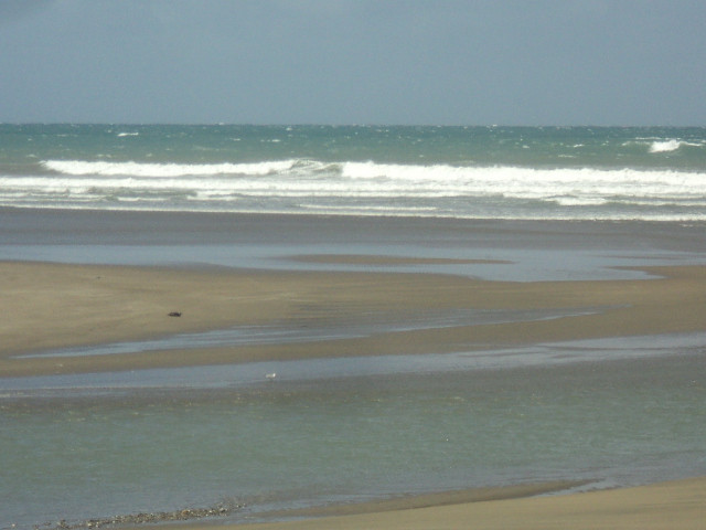Name:  DSC07873.JPG
Views: 181
Size:  164.1 KB