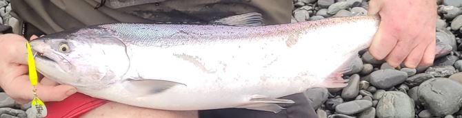 Name:  fish.JPG
Views: 279
Size:  23.9 KB