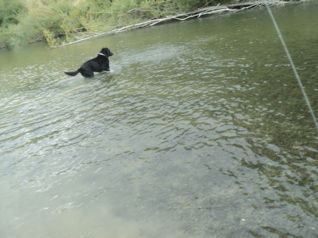 Name:  DSC07946.JPG
Views: 93
Size:  164.3 KB