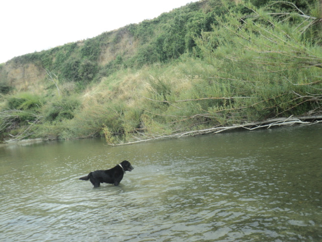 Name:  DSC07947.JPG
Views: 93
Size:  164.3 KB