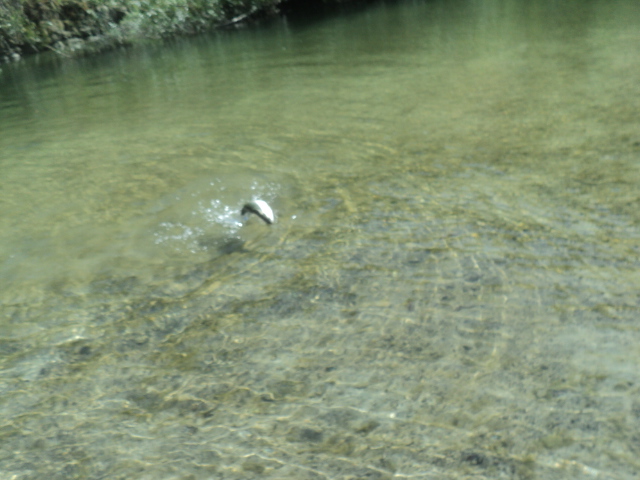 Name:  DSC08039.JPG
Views: 133
Size:  165.0 KB