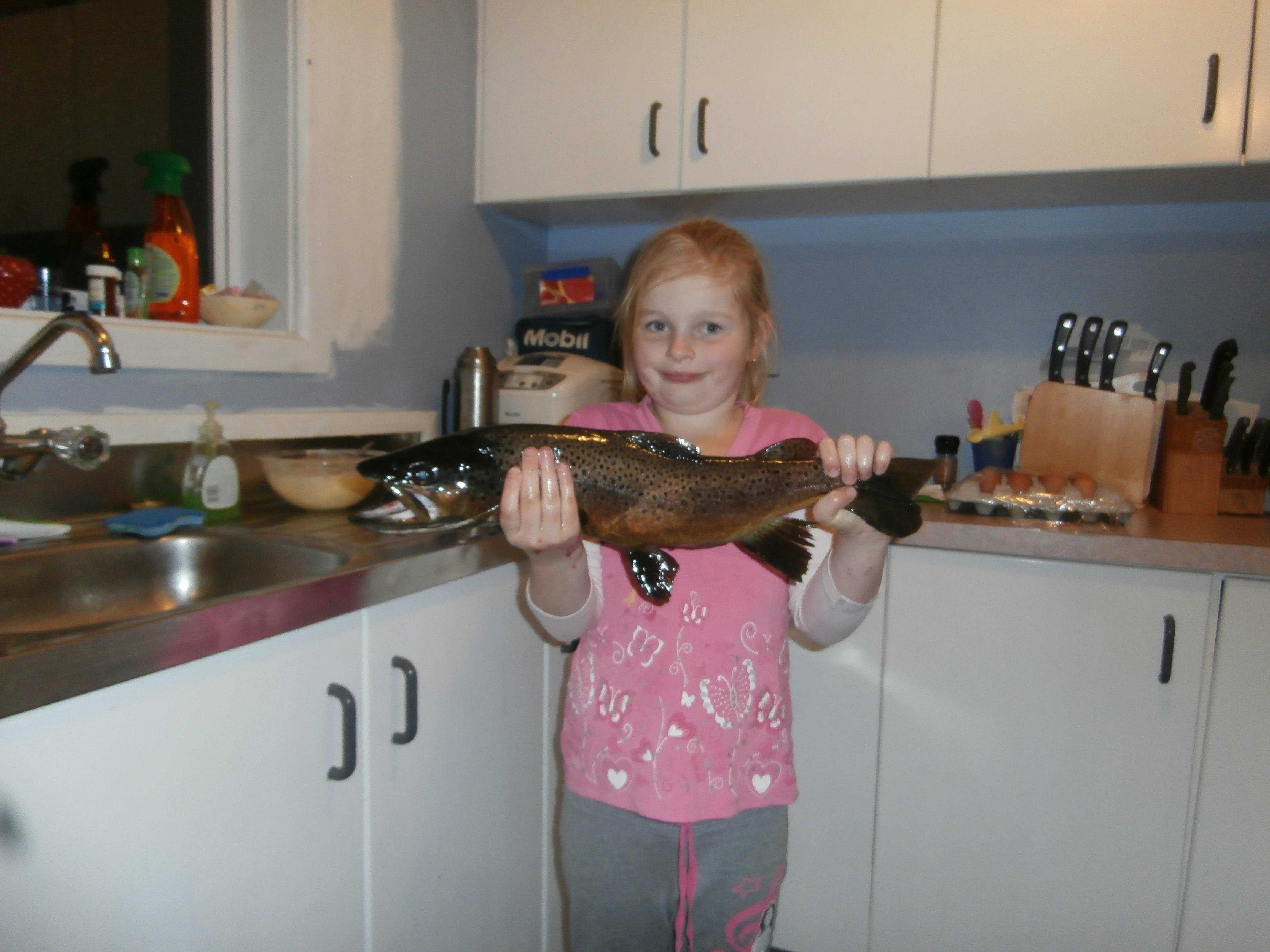 Name:  P6010115.jpg
Views: 126
Size:  812.2 KB
