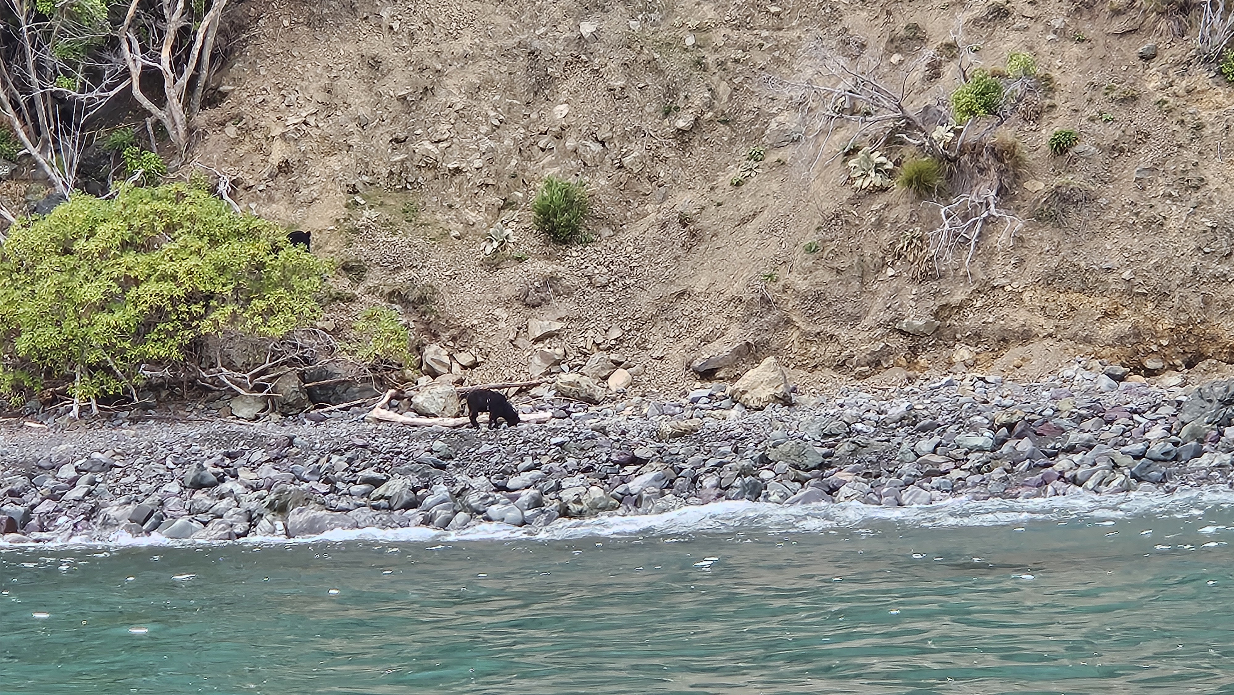 Name:  20240607_103459.jpg
Views: 204
Size:  3.52 MB