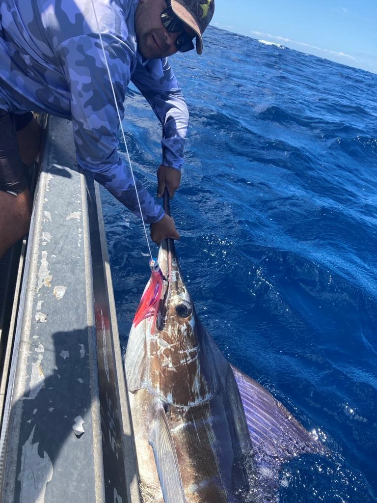 Name:  Marlin 4.jpg
Views: 226
Size:  207.4 KB