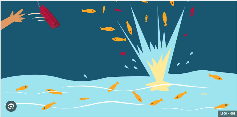 Name:  fishing.PNG
Views: 278
Size:  154.1 KB