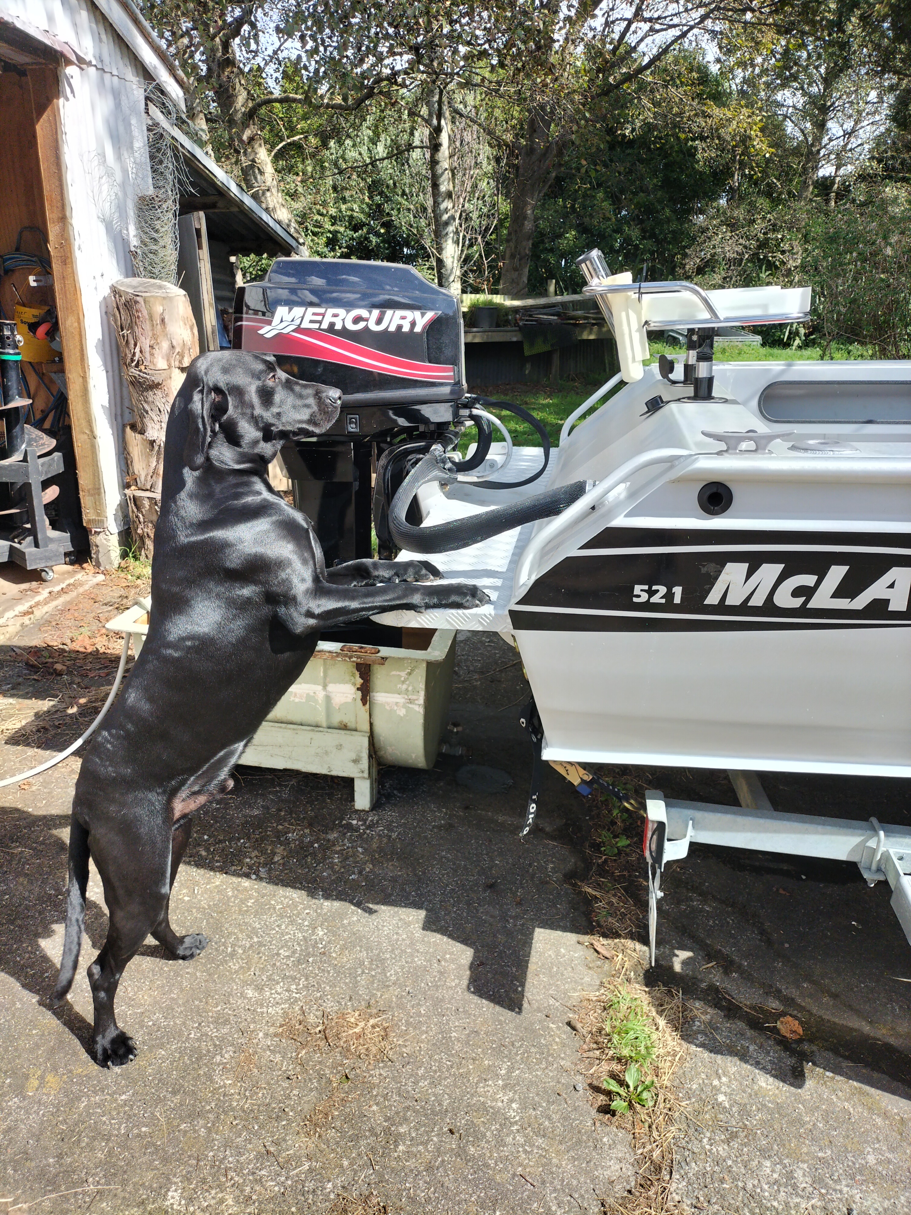 Name:  Jackandboat.jpg
Views: 84
Size:  5.23 MB