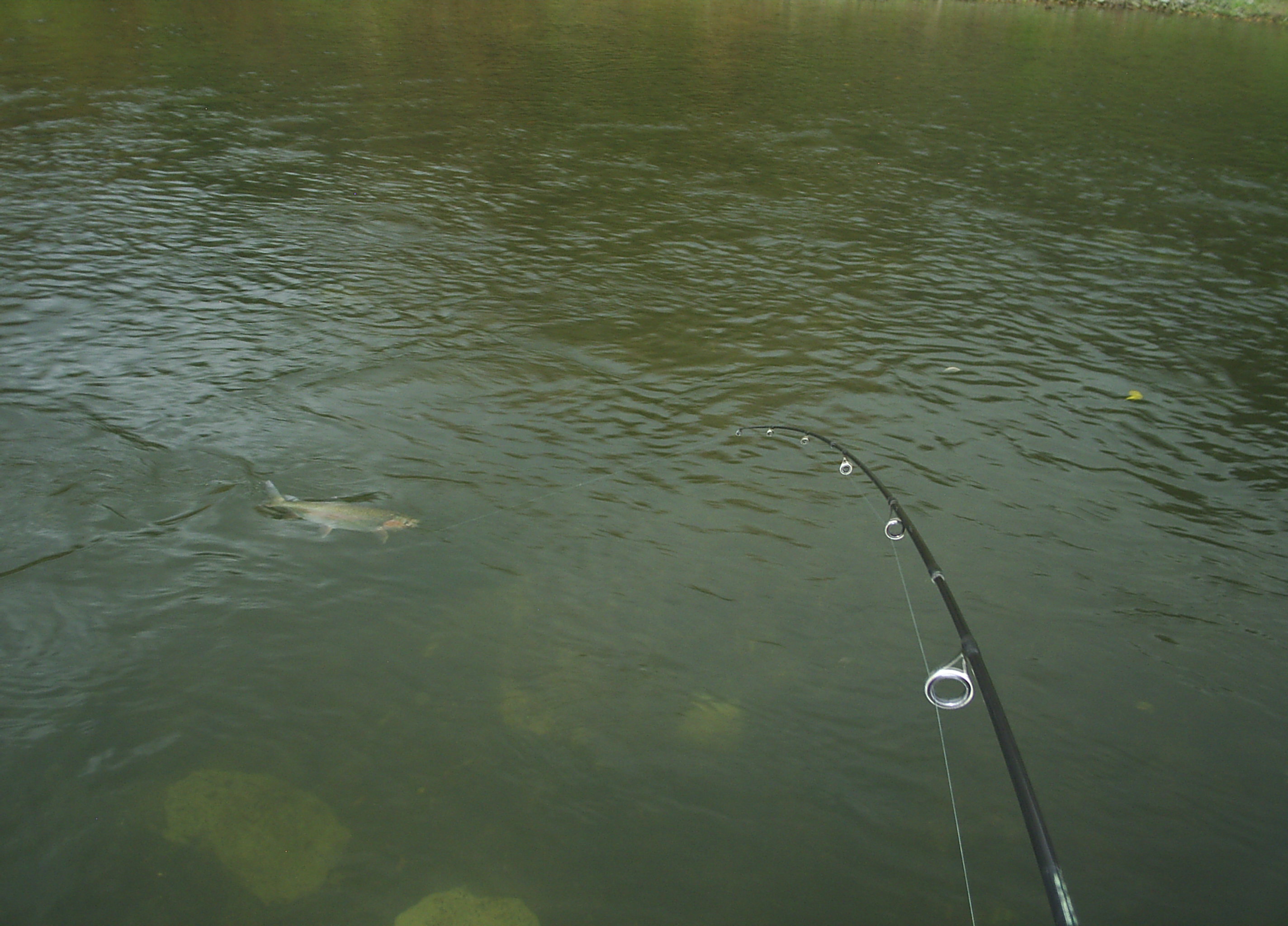 Name:  picture 9819.JPG
Views: 18
Size:  727.2 KB