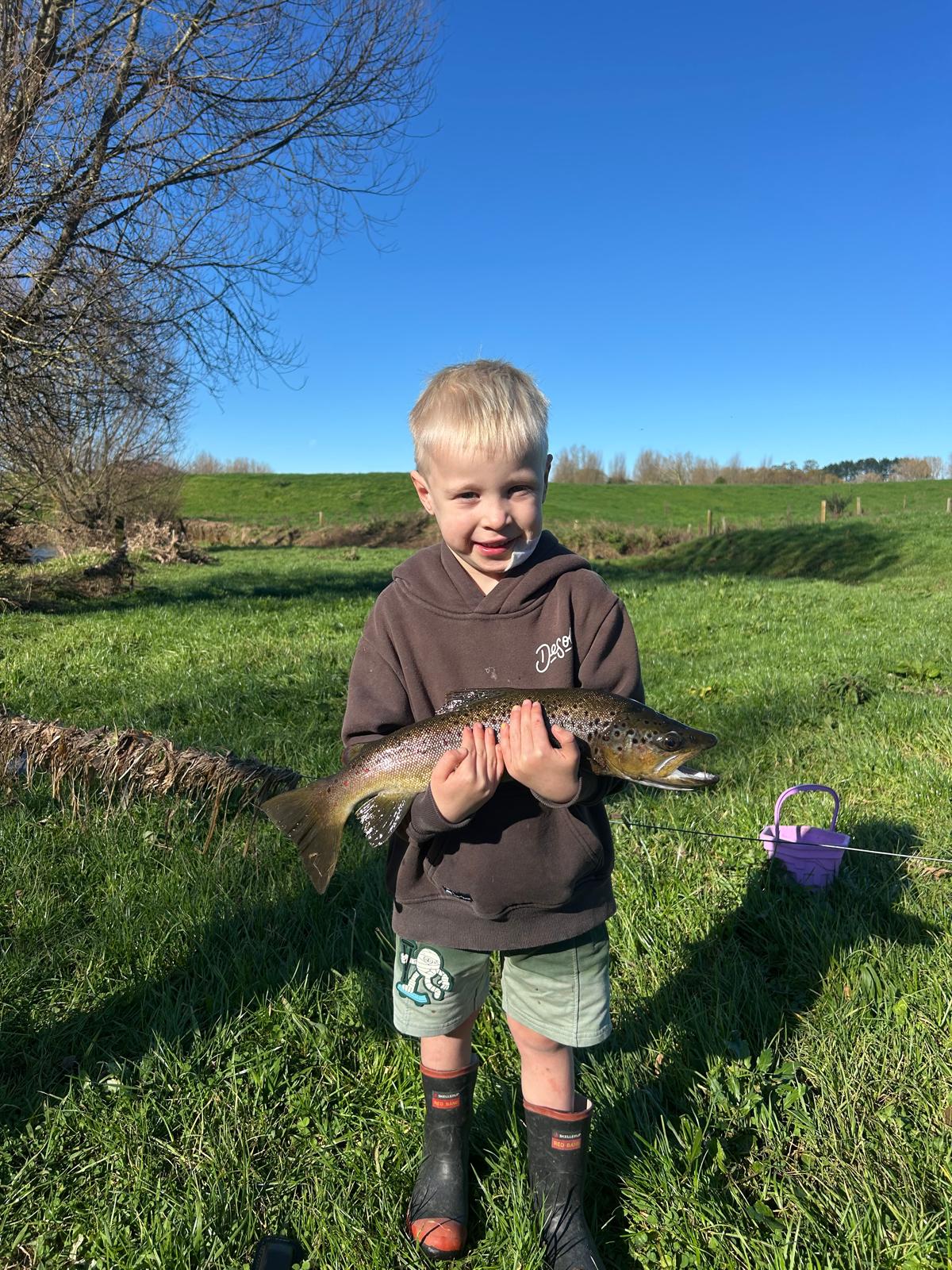 Name:  IMG-20250706-WA0002.jpg
Views: 264
Size:  420.4 KB