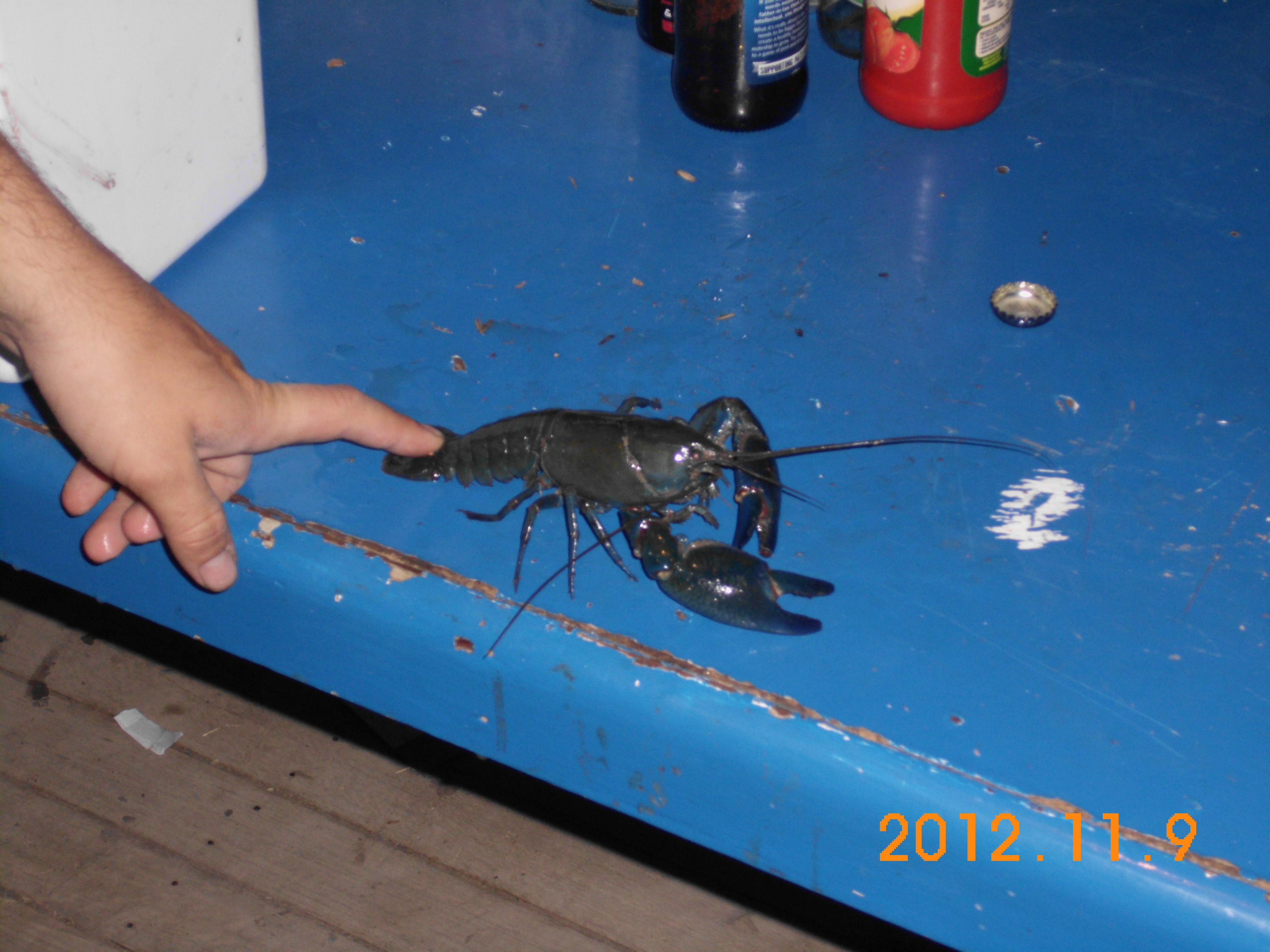 Name:  SANY0032.jpg
Views: 507
Size:  742.9 KB