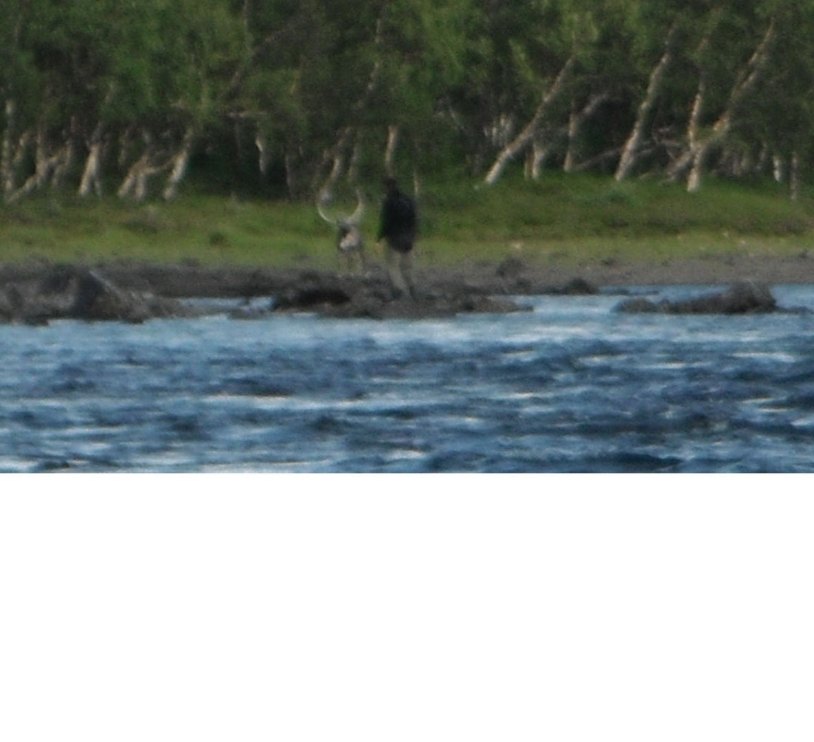 Name:  Andreas Ren.jpg
Views: 534
Size:  187.2 KB