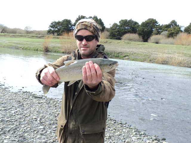 Name:  picture 224.jpg
Views: 369
Size:  164.6 KB