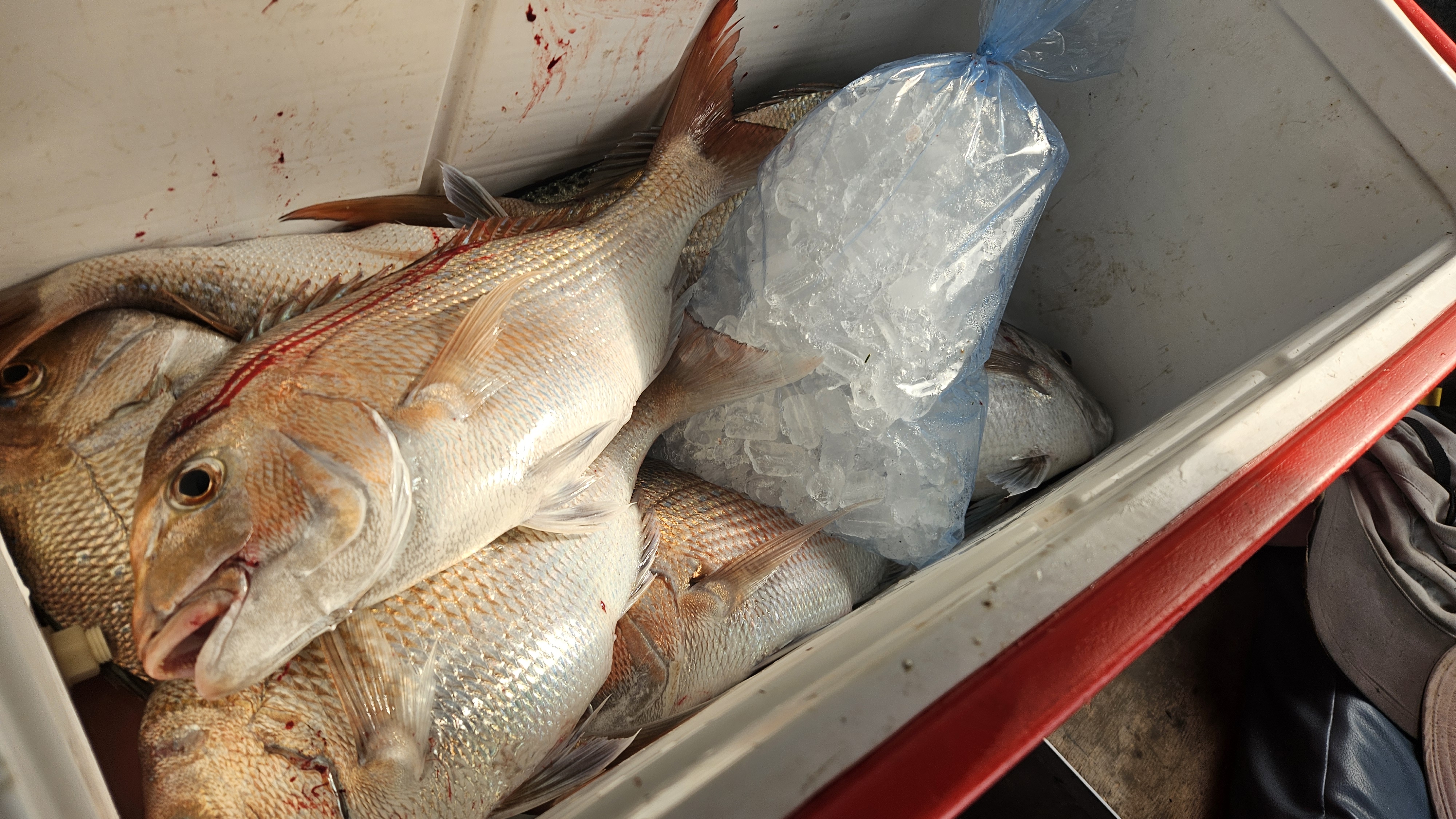 Name:  20251110_094201.jpg
Views: 197
Size:  2.61 MB