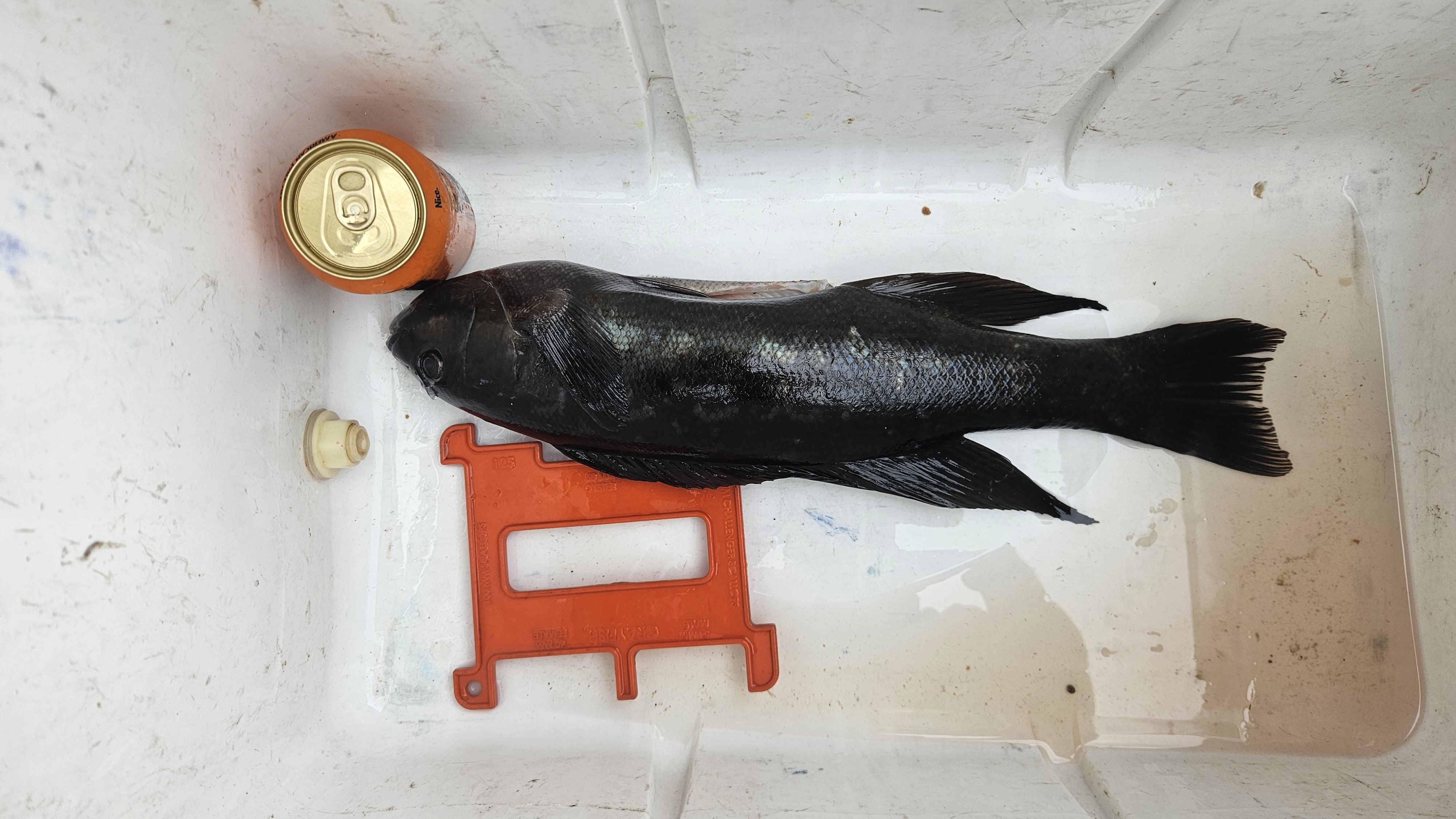 Name:  20251112_151530.jpg
Views: 126
Size:  1.85 MB