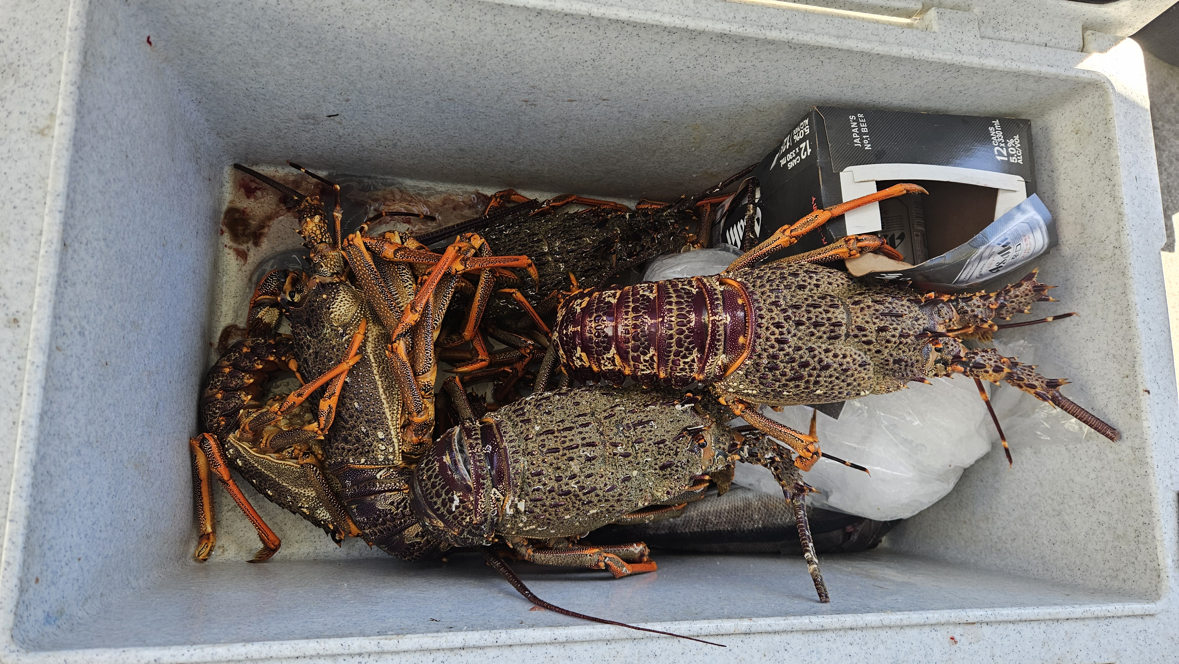 Name:  20251116_134247.jpg
Views: 241
Size:  3.31 MB