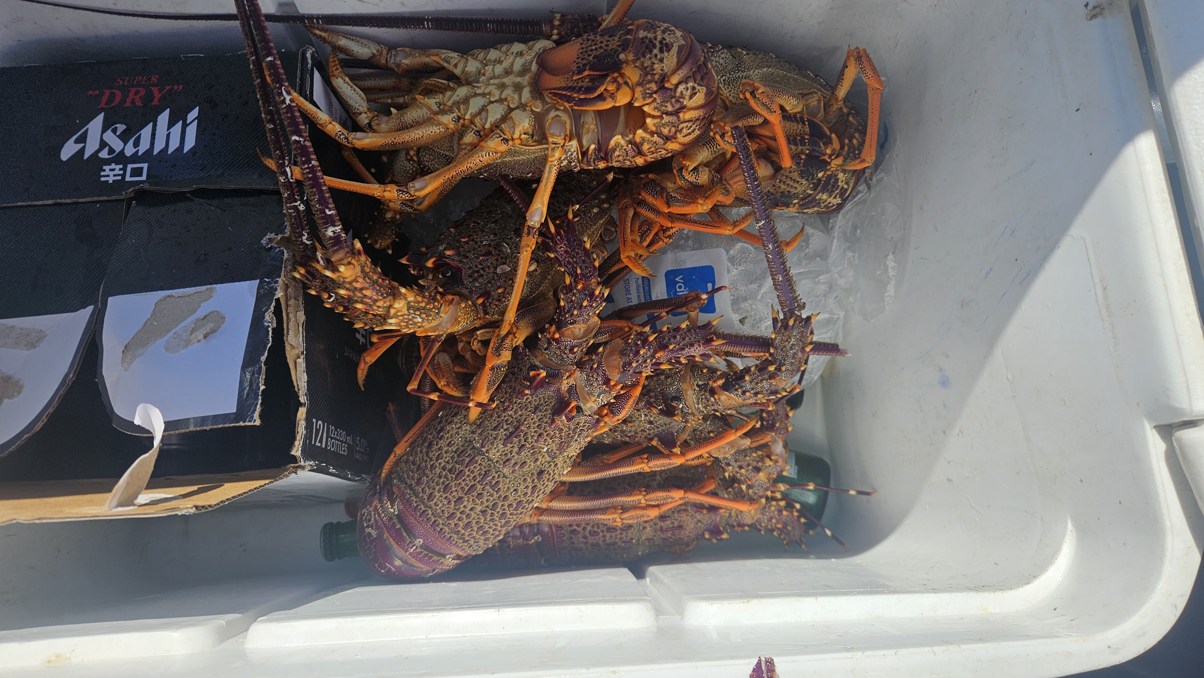 Name:  20251228_160508.jpg
Views: 175
Size:  2.35 MB