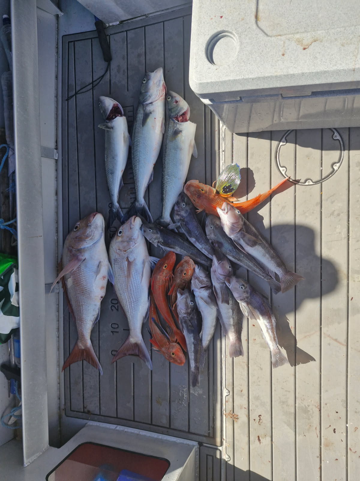 Name:  imagejpeg_2.jpeg
Views: 150
Size:  222.2 KB